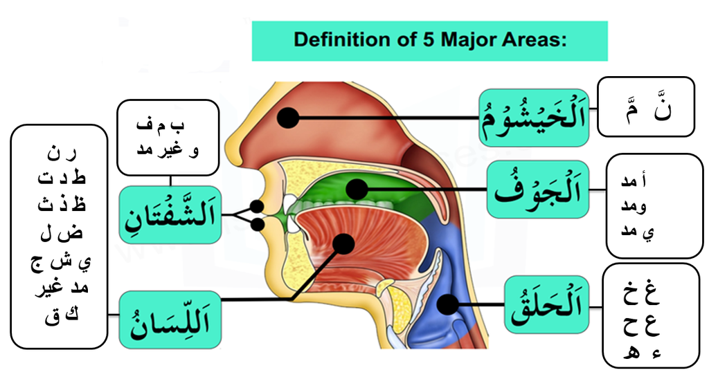 دورة المَأْلُوفُ فِي مَخَارِجِ الحُرُوفِ لبيان المعاني والوصوف